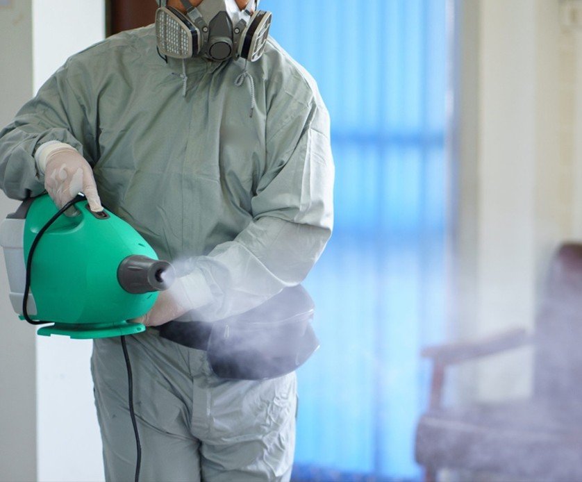 desinfección,bacterias